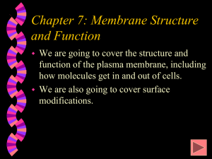 Chapter 5: Membrane Structure and Function