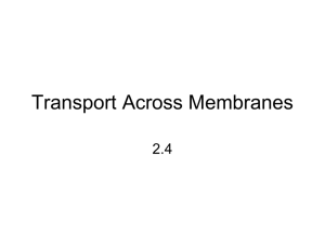 SBI4U - Membrane Transport