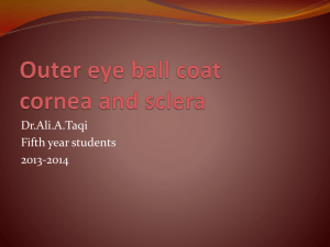 2._Outer_Eyeball_Coat,_Cornea_&_Sclera