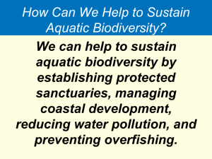 We can help to sustain aquatic biodiversity by establishing protected