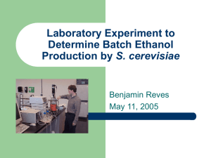 Laboratory Experiment to Determine Batch Ethanol Production by S