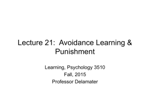 Avoidance Learning & Punishment