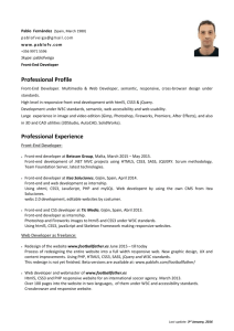 CV in DOCX format (english)