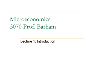 Mircroeconomics 3070-001