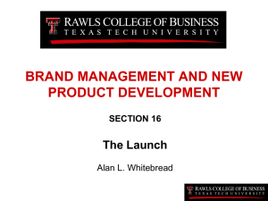 brand management and new product development