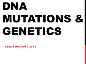 DNA Mutations & Genetics