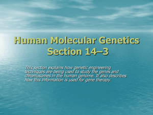 Human Molecular Genetics Section 14–3