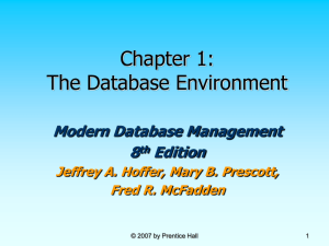 The Database Environment