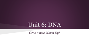 Unit 6: DNA