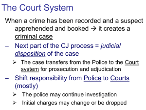 IX. The Court System