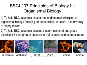 BSCI 279O Organismal Biology Discussion
