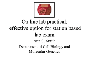 On line lab practical effective option for station based lab exam