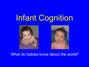 Infant Perception