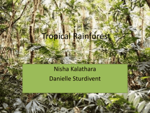 Tropical Rainforest - White Plains Public Schools