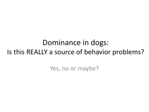 Dominance in dogs
