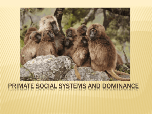 Primate social systems and dominance