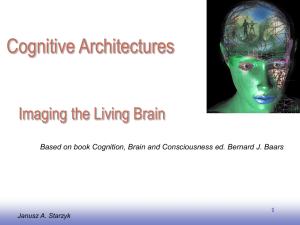 Imaging the Living Brain