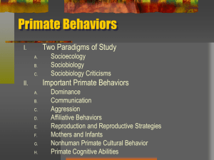 Chapter 6 Primate Behavior