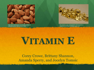 Vitamin E - Brittany Dillon