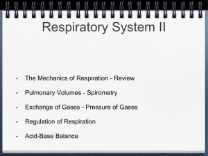Respiratory System II