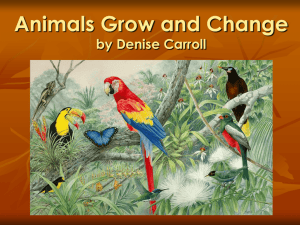 Animals Grow and Change (Powerpoint