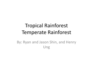 5th tropical rain forest
