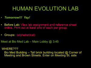 Lecture 3a Hominid Evolution 1