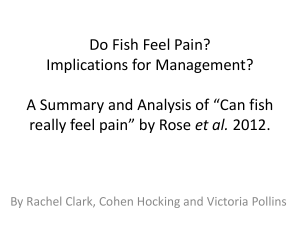 Do Fish Feel Pain?