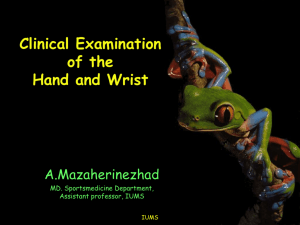 Clinical Examination of the Hand and Wrist