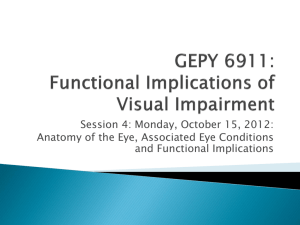 Functional Implications of Visual Impairment