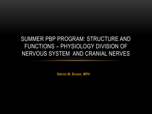 Summer PBP Program: Structure and Functions * Physiology