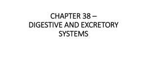 CHAPTER 38 * DIGESTIVE AND EXCRETORY SYSTEMS