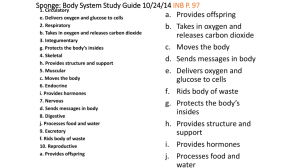 Sponge: Body System Study Guide 10/24/14 INB P. 97 1. Circulatory