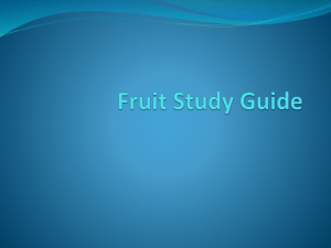 Fruit Study Guide - Fort Thomas Independent Schools