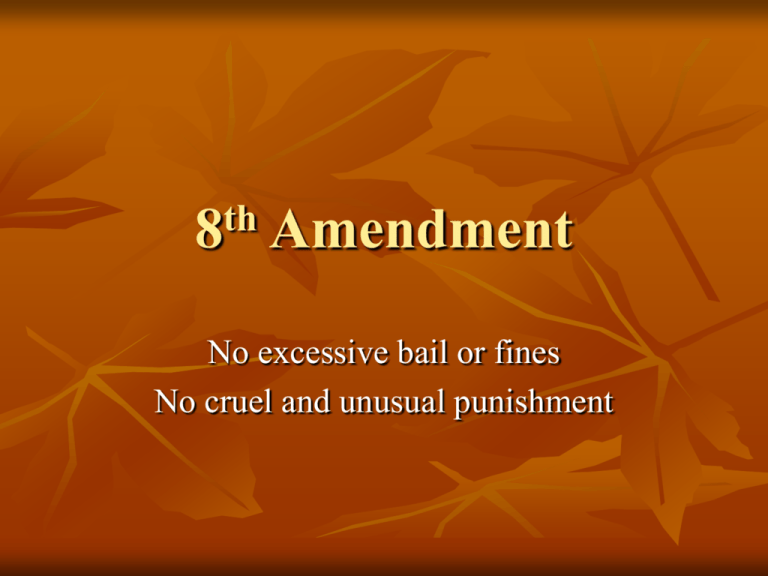 8th Amendment