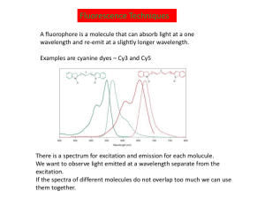 Fluorescence Techniques