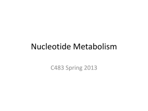 Nucleotide Metabolism - Chemistry Courses: About