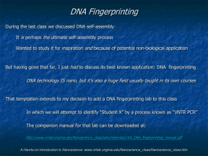 DNA Fingerprinting - UVA Virtual Lab