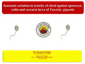 Larvicidal activity of Azadirachtin against Fasciola larvae