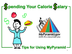 Spending Your Calorie Salary - National Policy and Resource
