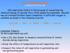 Graph and questions for Cellular Respiration Lab