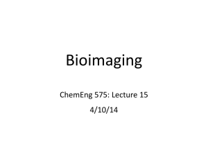 575_Bioimaging_Overview