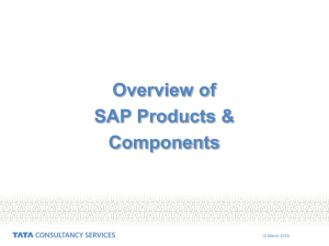 SAP BASIS Introductory Training Program