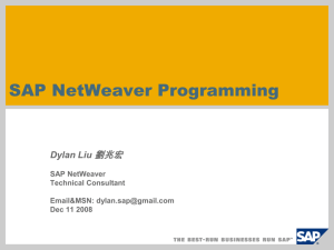 NetWeaver Programming
