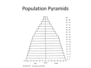 population pyramids_forecasting