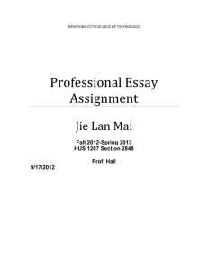 Professional Essay Assignment