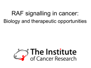 The role of RAS and BRAF signalling in melanoma