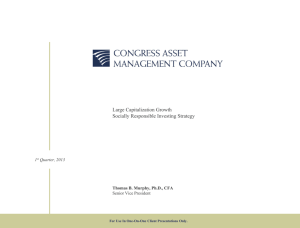 Socially Responsible Large Cap Growth Portfolio Annualized