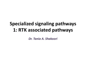 Specialized signaling pathways: RTK associated pathways