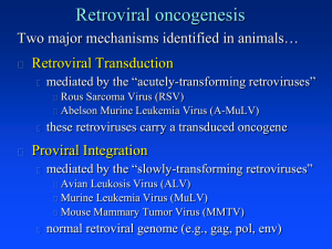 translocation patients TCR oncogene